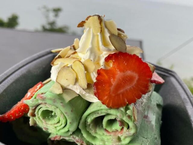 Plancha Helados Gourmet Rincon 1