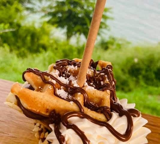 Plancha Helados Gourmet Rincon 4